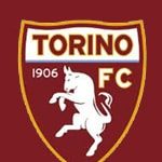 logo Torino