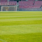 campo calcio