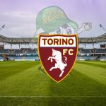 Torino logo