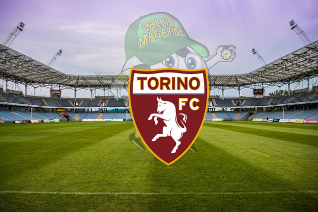 Torino logo