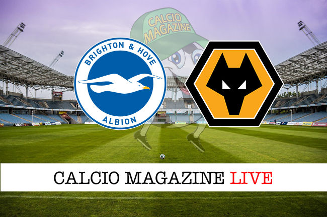 Brighton Wolverhampton cronaca diretta live risultato in tempo reale