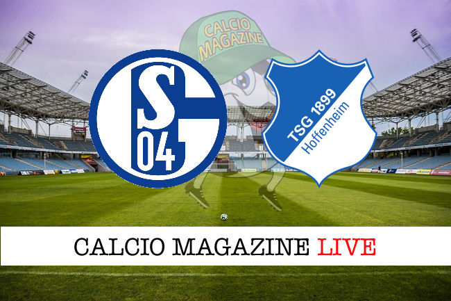 Schalke 04 Hoffenheim cronaca diretta live risultato in tempo reale