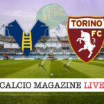 Hellas Verona - Torino cronaca diretta live risultato in tempo reale