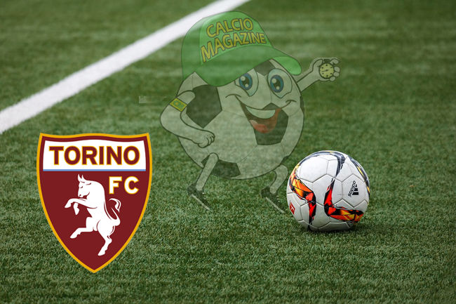 campo torino