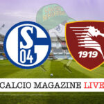 Schalke 04 Salernitana cronaca diretta live risultato in tempo reale