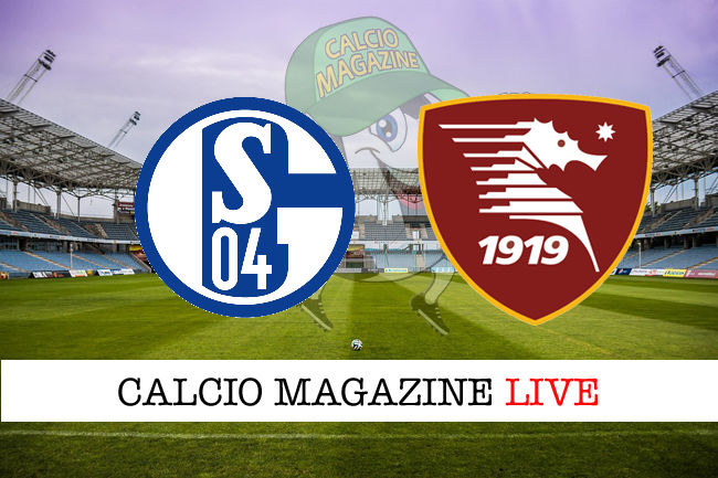 Schalke 04 Salernitana cronaca diretta live risultato in tempo reale