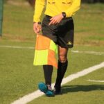 arbitro 7