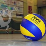 volley cm partite di pallavolo in diretta