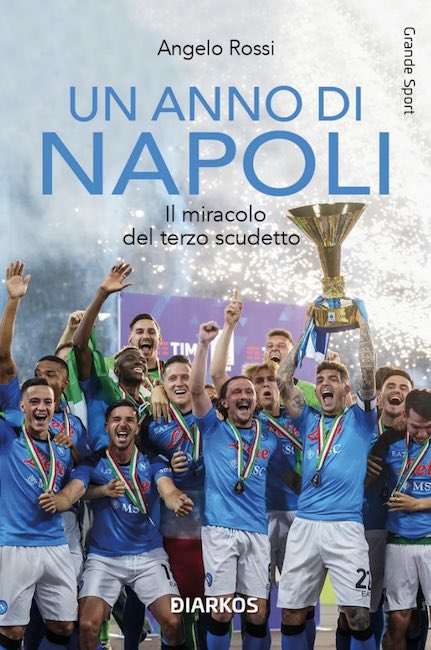 un anno di napoli libro