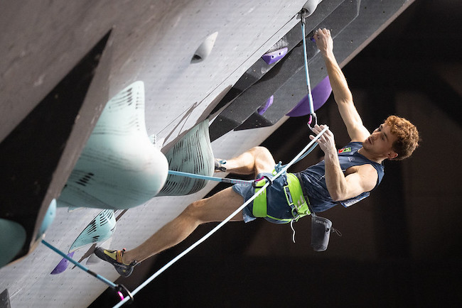 coppa del mondo lead