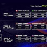 volleyball nations league 2025 m