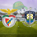 Benfica Auckland City cronaca diretta live risultato in tempo reale