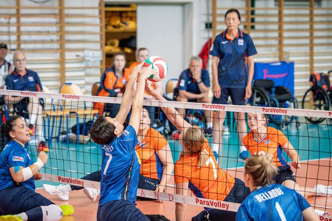 italia vs olanda sitting volley
