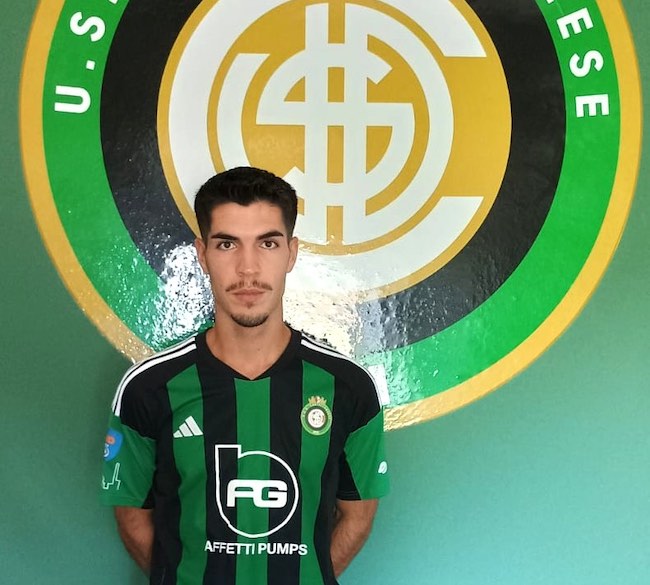 vernocchi alessandro