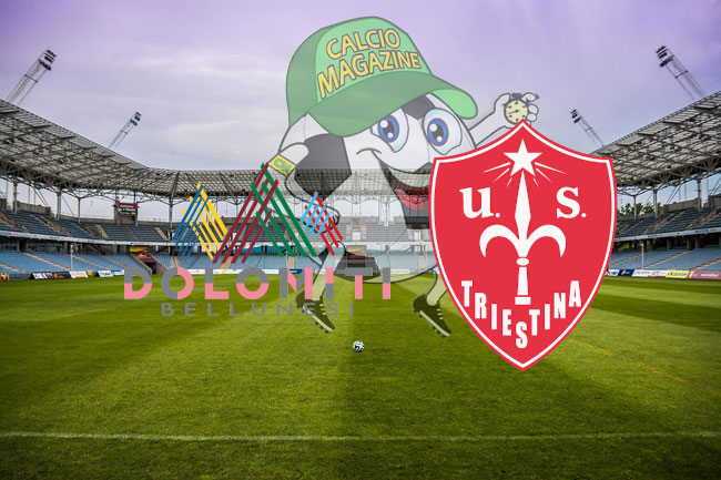 Dolomiti Bellunesi Triestina cronaca diretta live risultato in tempo