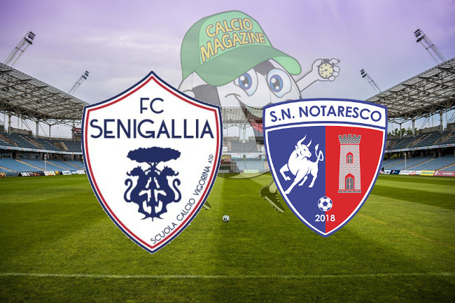 Vigor Senigallia Notaresco cronaca diretta live risultato in tempo reale