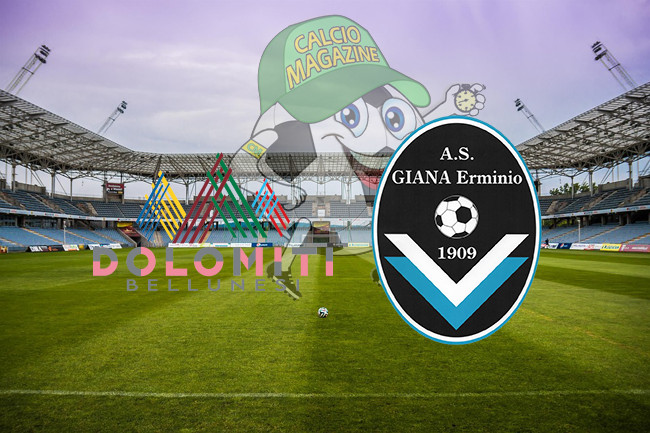 Dolomiti Bellunesi Giana Erminio cronaca diretta live risultato in tempo reale