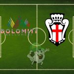 Dolomiti Bellunesi Pro Vercelli cronaca diretta live risultato in tempo reale