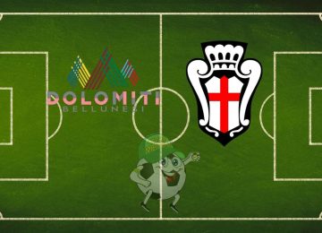 Dolomiti Bellunesi Pro Vercelli cronaca diretta live risultato in tempo reale
