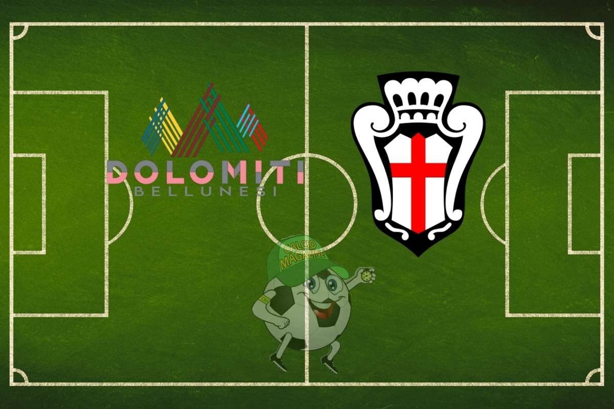 Dolomiti Bellunesi Pro Vercelli cronaca diretta live risultato in tempo reale