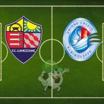 Lumezzane AlbinoLeffe cronaca diretta live e risultato in tempo reale