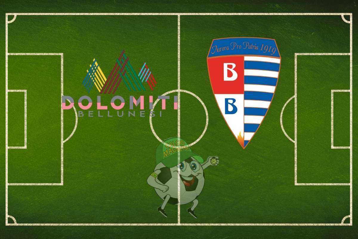 Dolomiti Bellunesi Pro Patria cronaca diretta live e risultato in tempo reale