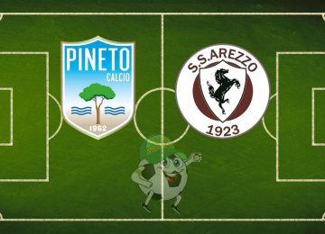 Pineto Arezzo cronaca diretta live e risultato in tempo reale