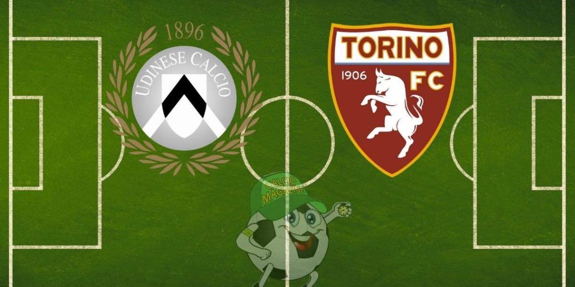 Udinese Torino cronaca diretta live e risultato in tempo reale