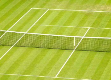 tennis campo erba