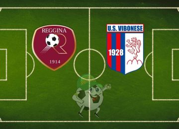 Reggina Vibonese cronaca diretta live risultato in tempo reale